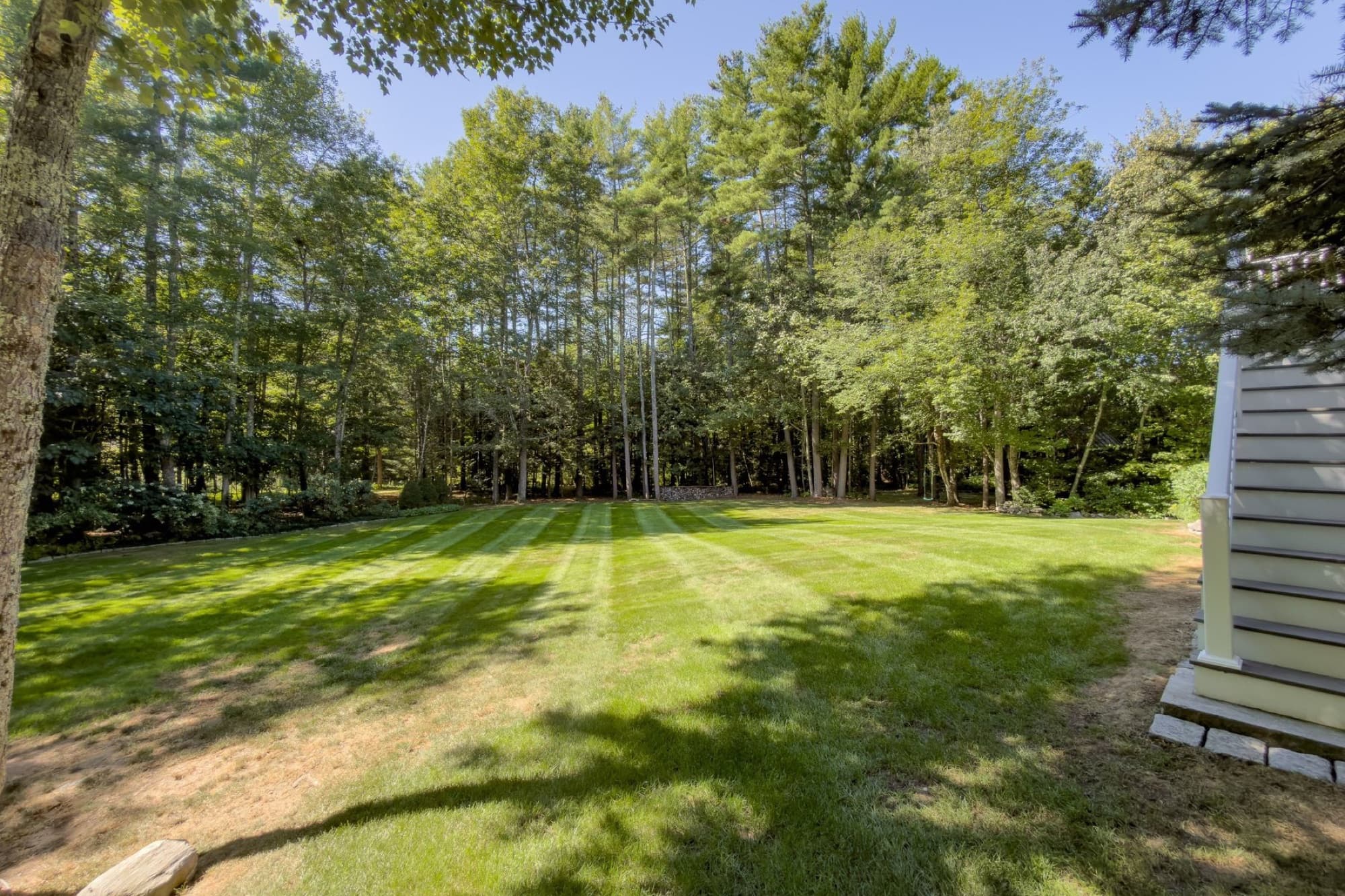 The back lawn with the tree line beyond